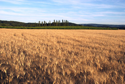 Scenic view of field against cloudy sky