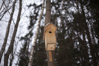 Birdhouse on the tree. a feeder attached to a tree trunk. 