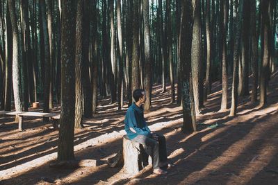 Man sitting on tree stump in forest