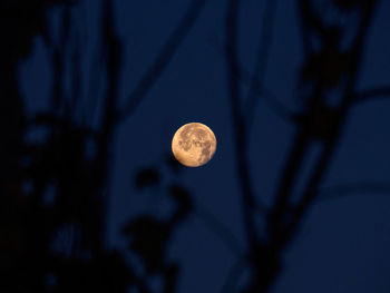 Low angle view of moon against sky at night