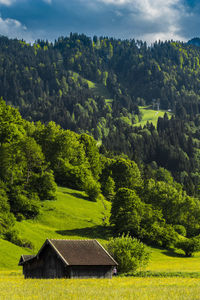 Houses on green landscape against sky