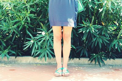 Low section of woman standing on footpath against plants