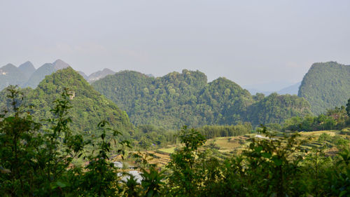 Scenic view of trees and mountains against sky