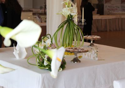 Potted plant on table at home