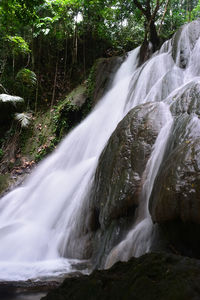 Waterfall in forest