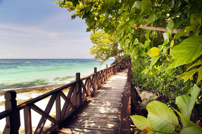 Walkway through beautiful trees on a tropical island