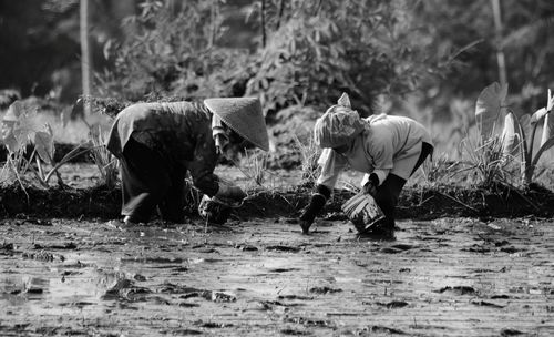 Farmers working in muddy field at farm