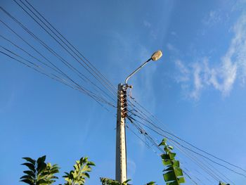 Low angle view of plants and street light against blue sky