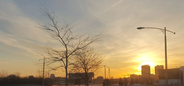 Silhouette bare tree against sky during sunset