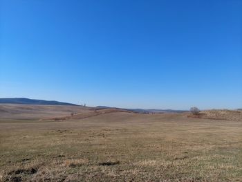 Scenic view of field against clear blue sky