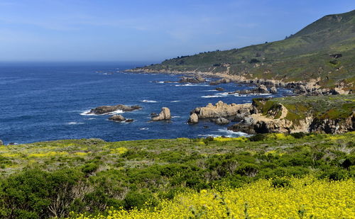 Beautiful coastline scenery with ocean waves and rocks on pacific coast, california, us