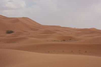 Scenic view of desert