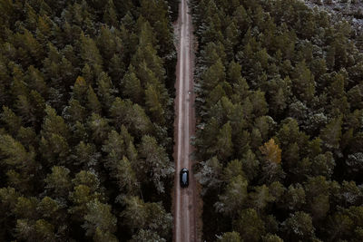 Drone view of lonely car driving along road in coniferous woods in winter in scottish highlands
