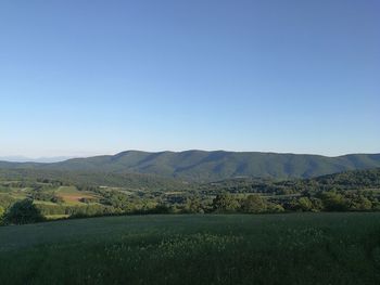 Scenic view of field against clear blue sky