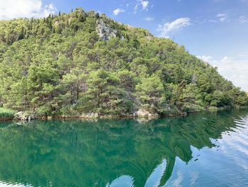 Scenic view of lake by trees against sky