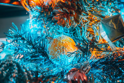 Close-up of christmas tree