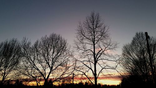 Silhouette of bare trees at sunset