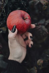 Midsection of person holding apple