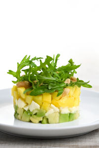 Close-up of food in plate against white background