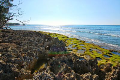 Scenic view of sea against clear sky