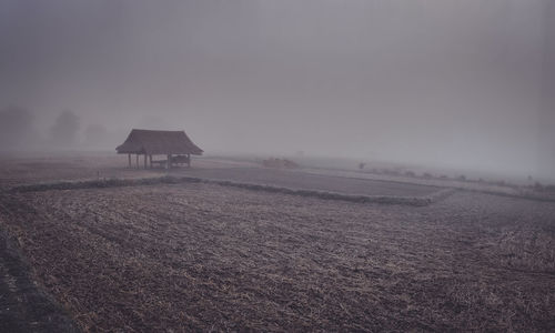 Scenic view of field against sky during winter