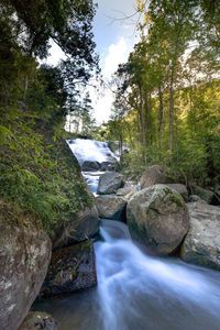 Stream flowing through rocks in forest