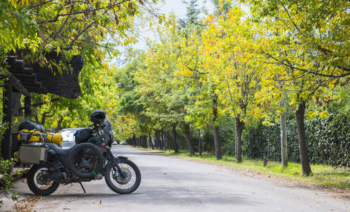 Touring motorcycle on tree lined road, mendoza, argentina