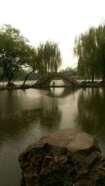 Reflection of trees in river