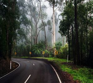 Road amidst trees against sky