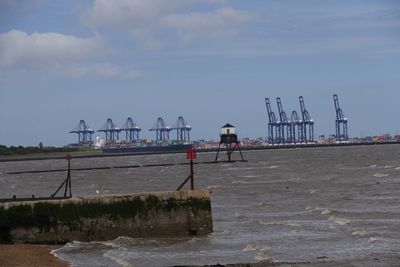 Cranes at beach against sky