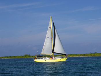 Sailboat sailing on sea against sky