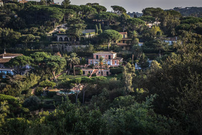 High angle view of townscape and trees in town