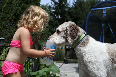 Young girl feeding dog water from cup in summer in suburbia