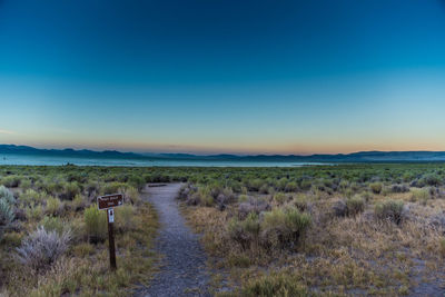 Scenic view of landscape against clear sky