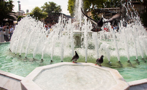 View of fountain in swimming pool