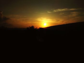 Silhouette of trees at sunset