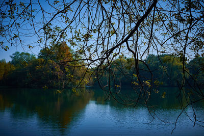 Scenic view of lake by trees against sky