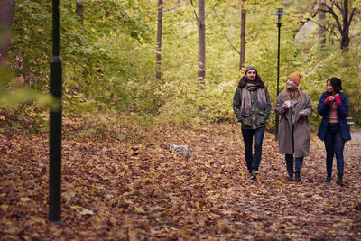 Friends walking in autumn forest