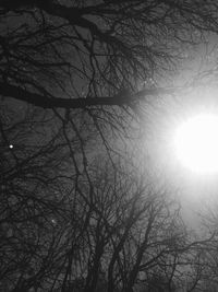 Low angle view of bare trees against sky