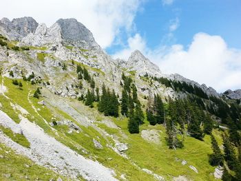 Low angle view of trees and mountains against sky