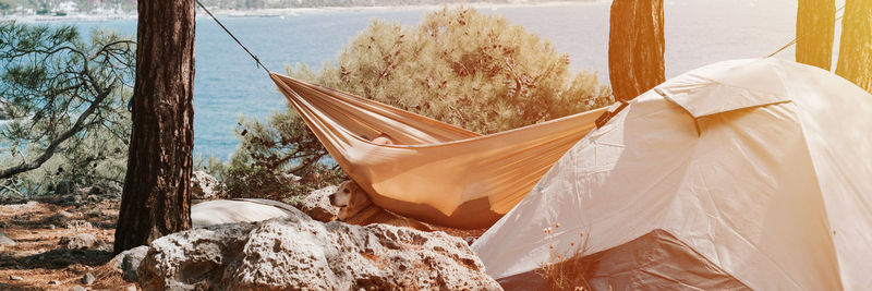 Tent vacationing relaxing traveler on the seashore. man napping in a hammock and a pet dog. camping