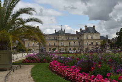 View of flowering plants in garden