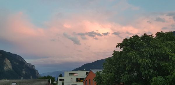 Houses and trees against sky during sunset