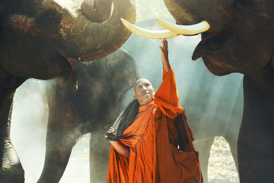 Monk standing amidst elephants