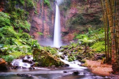 Scenic view of waterfall in forest