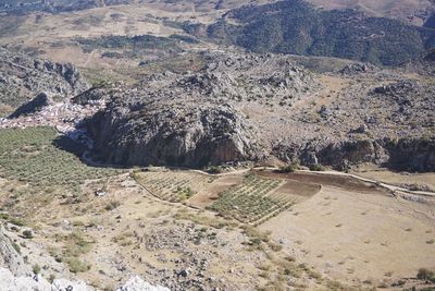 High angle view of trees on landscape