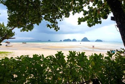 View of beach against sky