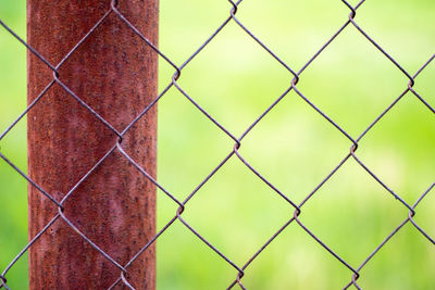 Close-up of chainlink fence