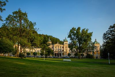 Trees and buildings against clear blue sky