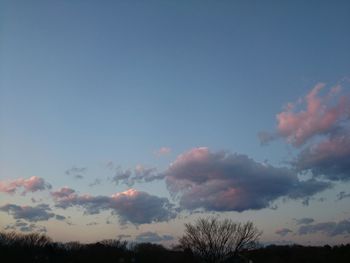 High section of trees against scenic sky